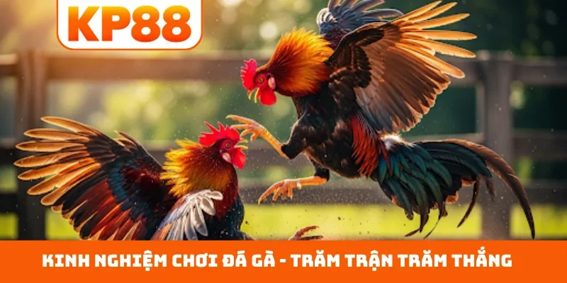Kinh nghiệm chơi