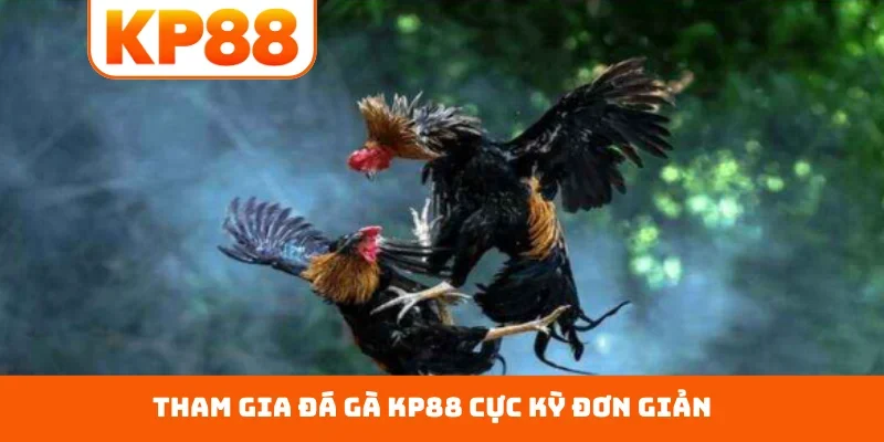 Tham gia đá gà KP88 cực kỳ đơn giản